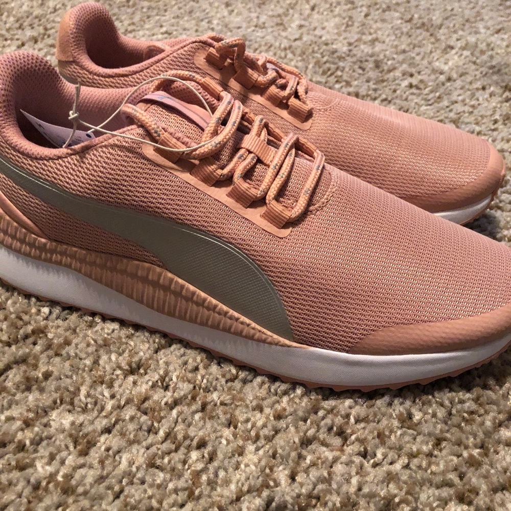 Awesome looking Pumas
